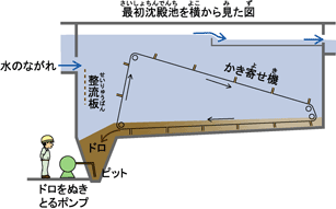 ŏar猩}